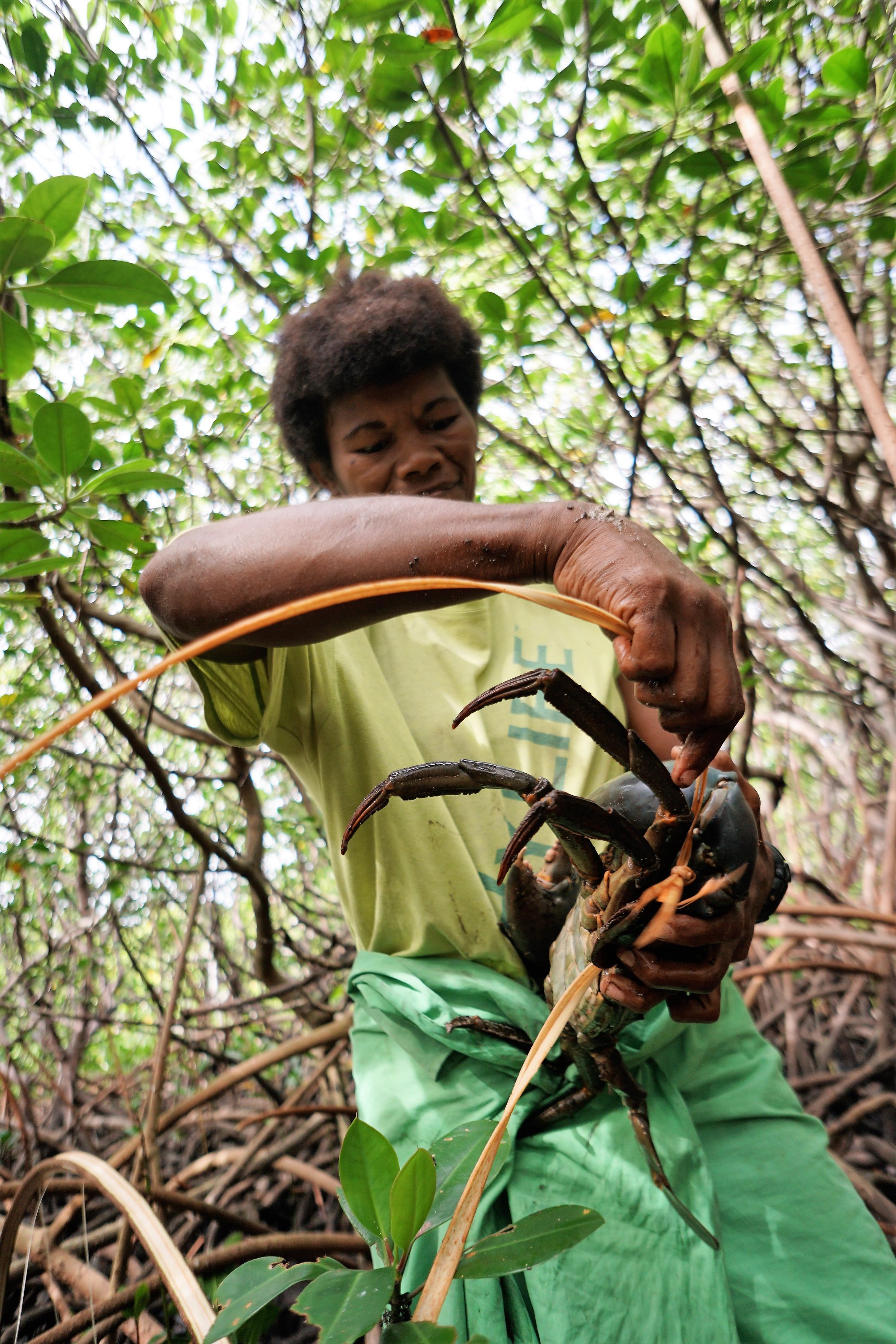 Fiji Environmental Law update High Court upholds Environment
